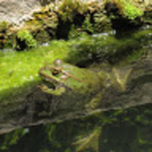 Meet your Posher, Kunle